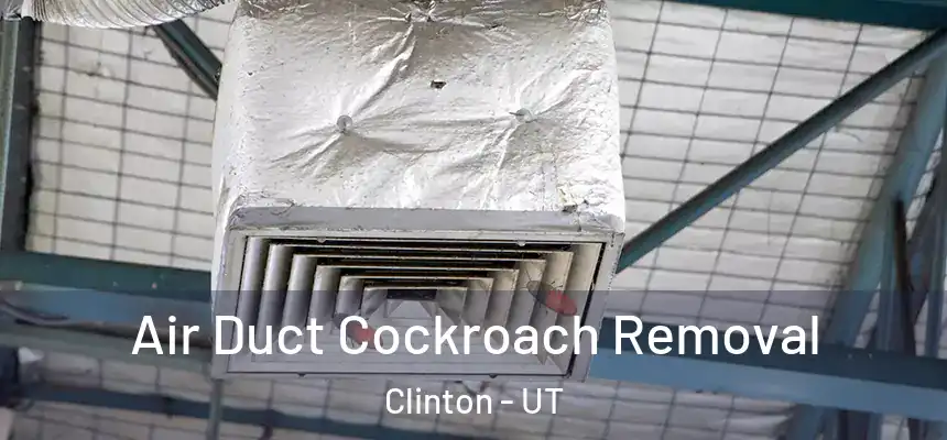 Air Duct Cockroach Removal Clinton - UT