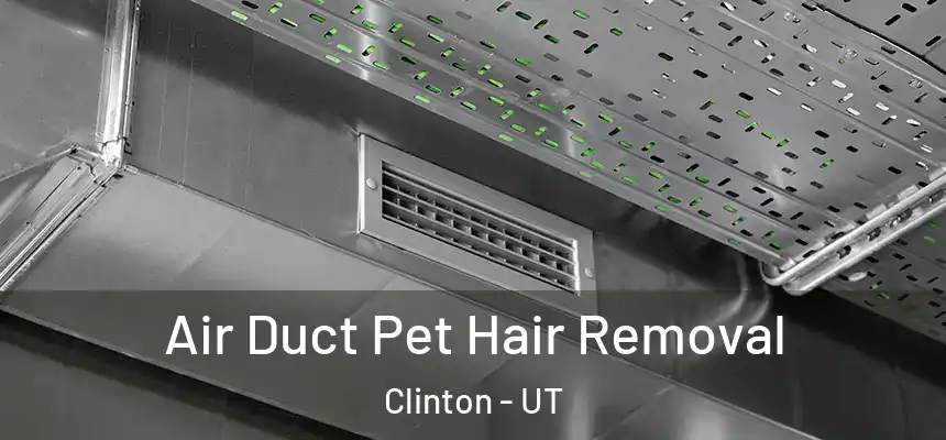  Air Duct Pet Hair Removal Clinton - UT