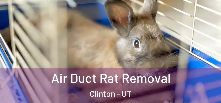 Air Duct Rat Removal Clinton - UT