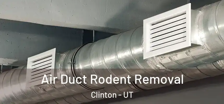 Air Duct Rodent Removal Clinton - UT