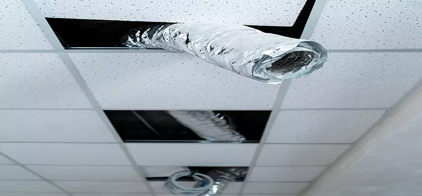 Our Air Duct Pet Hair Removal Services in Clinton, UT