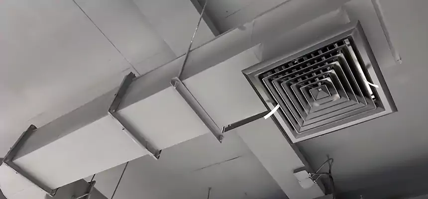 Our Pest Removal From Ducts Services in Clinton, UT