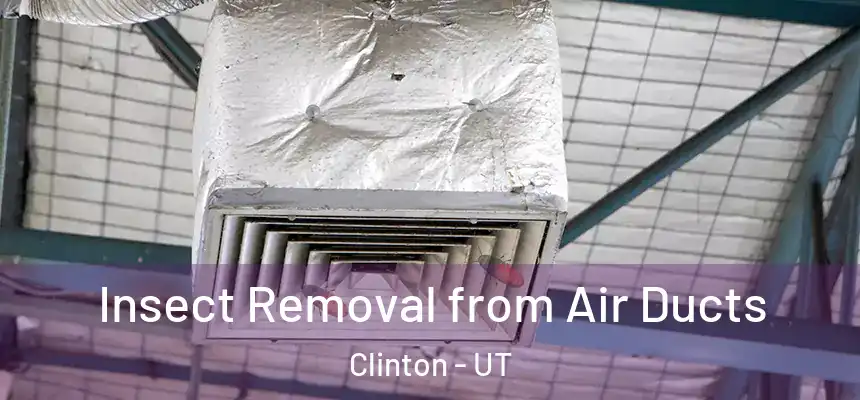  Insect Removal from Air Ducts Clinton - UT