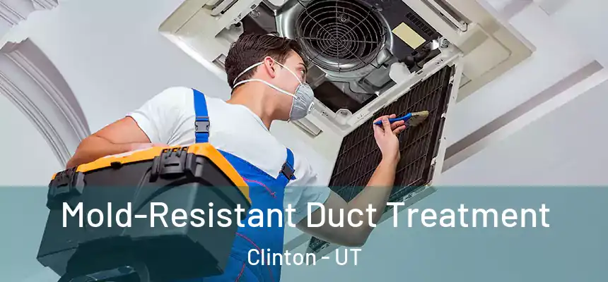  Mold-Resistant Duct Treatment Clinton - UT