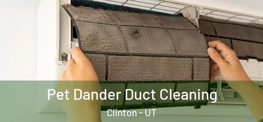 Pet Dander Duct Cleaning Clinton - UT