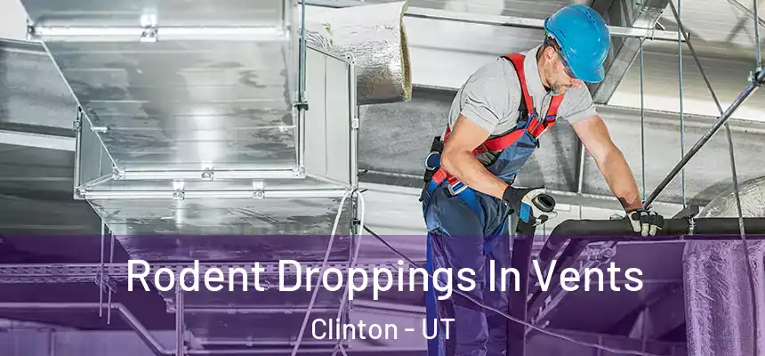 Rodent Droppings In Vents Clinton - UT