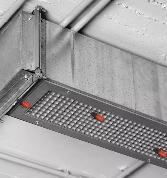 About Air Duct Cockroach Removal in Clinton, UT