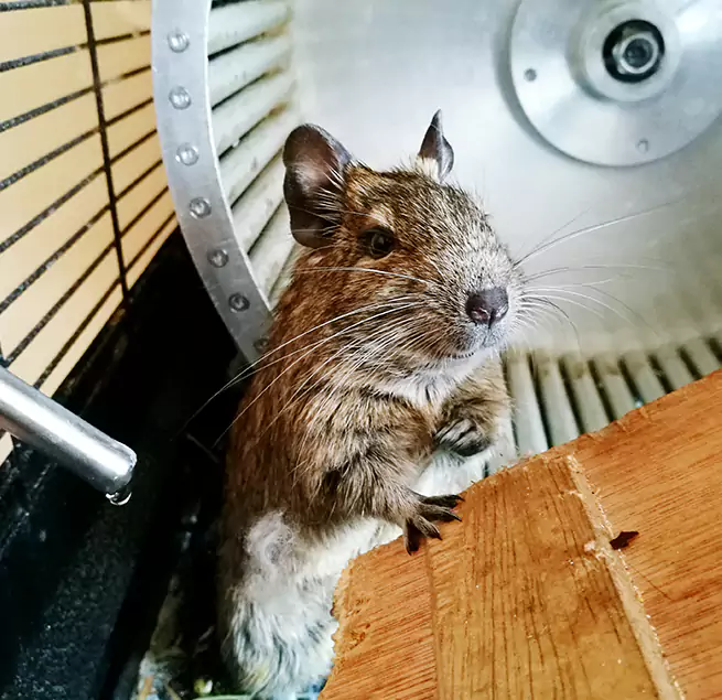 Why Homeowners & Businesses Trust Us Clinton, UT?